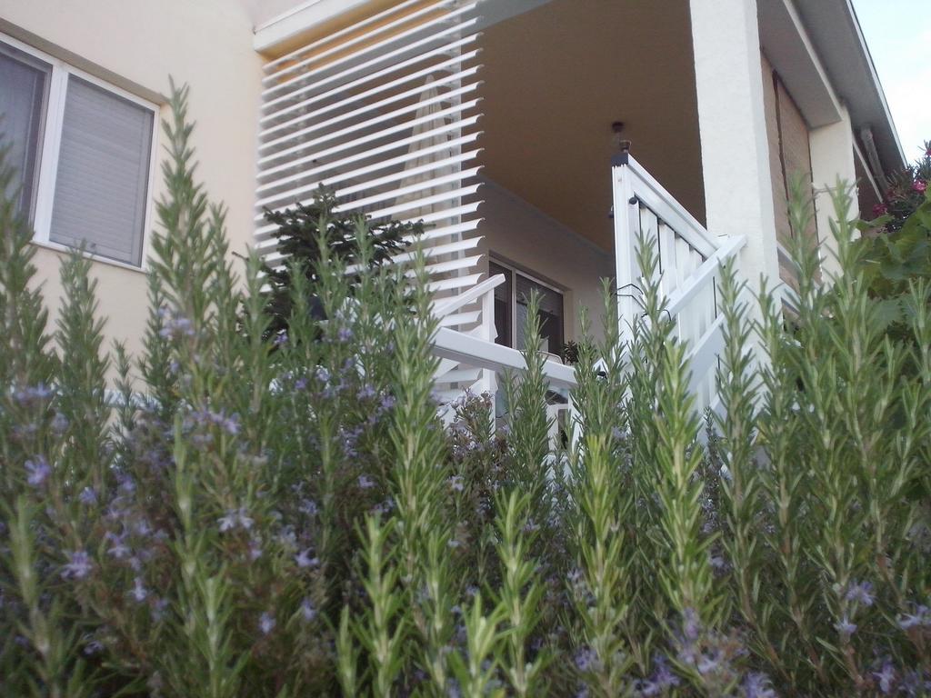 Kuca Za Odmor Laura Apartman Ražanac Kültér fotó